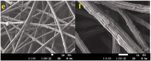 Figure 3. SEM Images of (e) nfPMMA-ND-HRP low magnification (f) nfPMMA-ND-HRP high magnification.