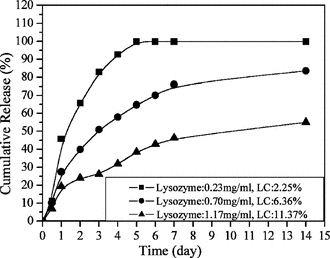 Figure 9 Influence of lysozyme initial concentration on lysozyme in vitro. release behavior.