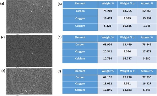 Figure 8 SEM images of calcium deposition of (A) PE, (C) PE/WG and (E) PE/WG/TiO2 and EDX graph showing calcium deposition of (B) PE, (D) PE/WG and (F) PE/WG/TiO2. Samples (1 * 1 cm2) left in 1.5x SBF (pH 7.4; 37°C) for 14 days was imaged in Hitachi Tabletop TM3000.