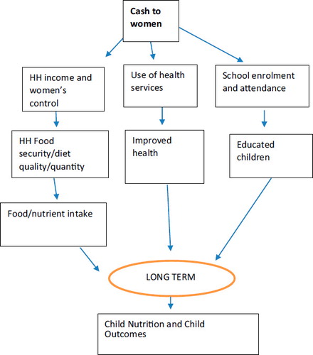 Figure 1. Mechanisms by which CTs might affect child outcomes. Source: Adapted from Leroy et al. (Citation2009).
