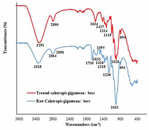 Figure 2. FTIR spectrum of raw and treated Calotropis gigantea fibers.