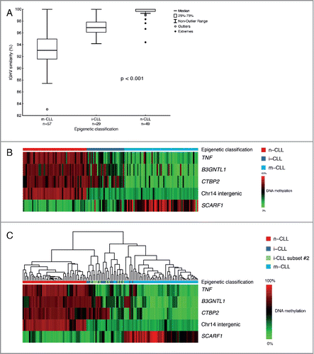 Figure 1. Epigenetic classification and hierarchical clustering of CLL patients. (A) Distribution of IGHV germline identity levels in the 3 epigenetic subgroups. (B) Bricks plot showing the methylation level of the of 5 CpG sites in 3 epigenetic subgroups. (C) Hierarchical clustering of the samples based on the methylation pattern of the 5 CpG signature.