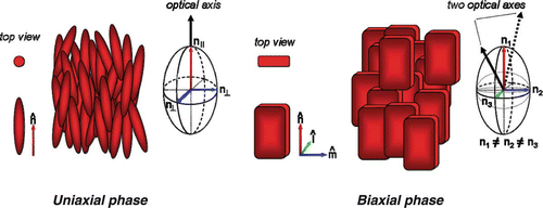 Figure 1. Uniaxial nematic (Left) and biaxial nematic (Right) phases and their corresponding indicatrices.