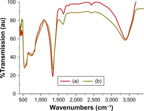 Figure 3 FTIR spectra of (a) pristine ZnAl-NO3 LDH and (b) nanohybrid CD-LDH.Abbreviations: FTIR, Fourier transform infrared spectroscopy; LDH, layered double hydroxide; CD, cefadroxil.