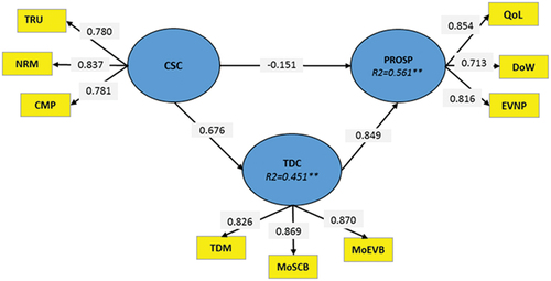 Figure 3. Adjusted measurement model.