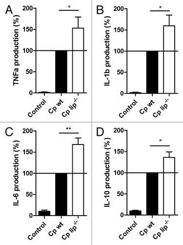 Figure 4. Cytokine secretion of human macrophages in response to wt and lip−/−C. parapsilosis. Secreted TNFα (A), IL-1β (B), IL-6 (C), and IL-10 (D) levels were measured by ELISA after stimulation of macrophages with wt or lip−/−C. parapsilosis for 24 h. Data were normalized for each donor to cytokine levels induced by wt C. parapsilosis (100%) to minimize donor-to-donor variability. Data represent % cytokine production ± SEM for 8 donors. Actual cytokine levels (in pg/mL or ng/mL) are described in the text (see Results). Cp, C. parapsilosis; wt, wild type; lip−/−, lipase mutant; *P < 0.05, **P < 0.01.