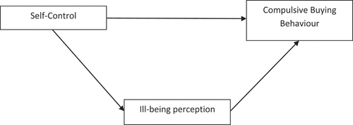 Figure 1. Conceptual framework.