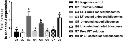 Figure 12. Fold increase in caspase-3 gene expression levels quantified by RT-PCR for the 8 treatment groups; G1 (negative control), G2 (positive untreated control), G3-7 treated groups with oral administration of different formulae where G3 (LF-coated loaded), G4 (LF-coated unloaded), G5 (uncoated unloaded), G6 (uncoated unloaded), G7 (free PIT solution) and G8 (Same formula as in G3 ‘LF-coated loaded formula’ but administered IP rather than orally), normalized to the expression of the housekeeping gene, GAPDH using (2−ΔΔCt) method (n = 3). All groups were statistically compared to a negative control (G1) when p ≤ .05 with mean values a < b < c.