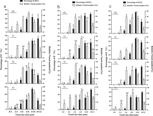 Figure 12. Relative abundance (white bars) of vessels in five diameter classes in the central vascular bundles of “Shine Muscat” grapes subjected to the CK, T1, T2, and T3 treatments and their relative correlation to the potential area-specific hydraulic conductivity (K, in percentage, black bars) at the first rapid growth stage (a), veraison (b) and the second rapid growth stage (c). Different lower-case letters indicate that there are differences in vessel abundance of different classes, and different upper-case letters indicate that there are differences in K (n = 3, Duncan’s test, p < .05).