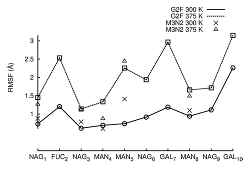 Figure 5. RMSF values are plotted for individual carbohydrates of G2F and M3N2. RMSF values were averaged between the two independent simulation runs at each temperature. RMSF values for data points simulated at 300 K are connected by lines. RMSF values for simulations preformed at 375 K are not connected by lines due to the absence of terminal GAL and NAG carbohydrates.