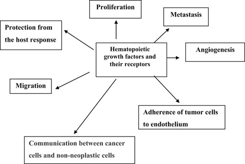 Figure 2 The role of hematopoietic growth factors and their receptors in tumor development.