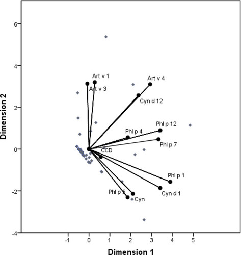 Figure 4 Optimal scale analysis between Bermuda grass, Mugwort and Timothy grass allergen components and CCD. The distance between the points represents the relative strength of correlation between them. The optimal scale analysis shows that there is a close relationship between Cyn d 1 and Phl p 1 (Cronbach’s alpha = 85.1%).