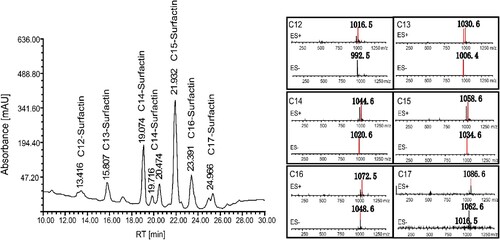 Figure 5. Composition of the biosurfactant produced by F. nanhaiensis ME46. The mass-to-charge ratios of positive and negative ion mass spectra of extracted ion mass spectrometry correspond to the relevant liquid chromatographic peaks.