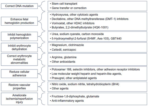 Figure 4 Therapeutic targets and corresponding investigation agents in sickle cell disease.
