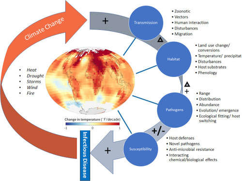 Figure 1 Conceptual diagram depicting four major infectious disease factors affected by global warming and climate change: transmission and dispersal of pathogens, pathogen habitat, pathogen evolution and distribution, and susceptibility of hosts. Generalized directions of change (increase, decrease, or multi-directional change) resulting from climate change for each factor are indicated by symbols. Examples of how each of the factors are affected by climate change related heating, drought, storms, wind, and fire are provided. Map from NOAA Climate.gov map, based on data from NOAA Centers for Environmental Information. Available from https://www.climate.gov/media/12884. The re-use of Climate.gov content should not imply NOAA endorsement of a product, service, or organization.Citation127