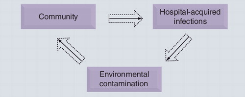 Figure 1. The continuous spread of genetic pools carrying antibiotic resistance genes from one human sector to another.In countries with adequate tertiary sewage treatment plants, the contamination from hospitals into the environment is largely negated, blocking the bacterial gene carriage into nosocomial settings. However, widespread contamination of the environment results in high carriage of New Delhi metallo-β-lactamase-1 as normal flora, which significantly impacts on importation into hospital settings.