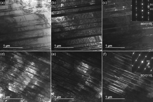 Figure 4. (a, d) TEM-BF and TEM-BF images for the (b, e) γ-matrices and (c, f) ε-martensite plates in the (a–c) annealed and hot-swaged specimens subjected to tensile straining to ε = 20%. The insets show the corresponding SAED patterns with the diffraction spots used for capturing the TEM-DF images.