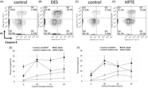 Figure 4. Caspase 8 activation in DP embryonic thymocytes following DES or HPTE exposure. Embryonic thymocytes were incubated in presence of CD2 and TCR antibodies, and medium alone (A, C), 50 μM DES (B and E – closed circles), or 50 μM HPTE (D and F – closed circles) for 6, 18, 21, and 24 h (A–D 18 h only; E and F, all timepoints). Caspase 8 activation measured by mean fluorescence intensity of cleaved target peptide. Cells were counterstained with PI to exclude necrotic cells. Number in lower right quadrant (A–D) indicates % cells with active caspase 8 that have retained membrane integrity (Caspase 8+ PI−). Panels E and F summarize data from five independent experiments (DES or HPTE – closed circles; DEX – closed triangle, antibody alone control – open circles, medium only control – open triangles). Caspase 8 activation detected at 6, 18, 21, and 24 h. DES N = 5, HPTE N = 5. Whisker bars are SEM of DP thymocytes.