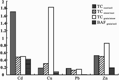 Figure 3. Transfer coefficients and bioaccumulation factors of Cd, Cu, Pb and Zn.