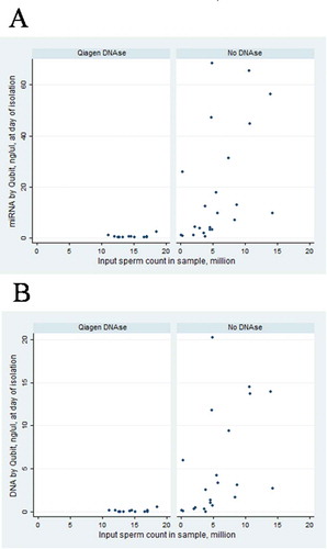 Figure 2. Association of input sperm count and miRNA concentration after RNA isolation (A) and DNA concentration after RNA isolation (B) by usage of DNase (Qiagen DNase, n = 12, vs no DNase, n = 23), subset of samples with input sperm count below 20 million