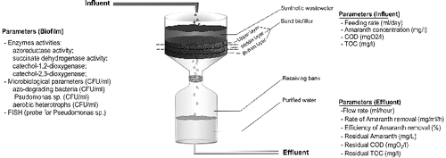 Figure 1. Design of the experiment and description of the parameters of the water treatment process.