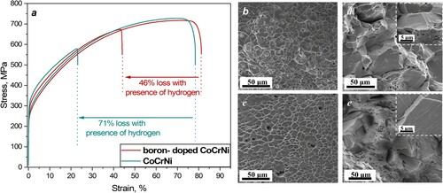 Figure 1. (a) Engineering strain-stress curves of the CrCoNi and boron-doped CrCoNi alloys in the hydrogen- uncharged and charged states. Fractured surfaces of (b and d) CrCoNi and (c and e) boron-doped CrCoNi with and without presence of hydrogen. Insets of Figure 1d and e are corresponding high-resolution fractographs from selected intergranular facets.