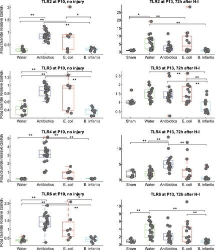 Figure 6. Gene expression of TLRs before and after H-I in different microbiota treatment groups. *-p < 0.05, ** - p < 0.01 based on post-hoc tests.