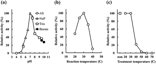 Figure 5. Determination of optimal pH and temperature by recombinant Escherichia coli JM109 producing rEstBT.(a) Effect of pH. Activity was assayed under standard reaction conditions, except for the buffer. Open circle, open triangle, open square, and closed circle indicate acetic acid-sodium acetate buffer (AS), sodium phosphate buffer (NaP), Tris buffer (Tris), and borate buffer (borate), respectively. (b) Effect of reaction temperature. Activity was assayed under standard reaction conditions, except for temperature. (c) Temperature stability of rEstBT. Activity was assayed under standard reaction conditions. Reaction mixture was incubated for 30 min at 20–70°C before adding substrate. Open square indicates no temperature treatment. Open circle indicates temperature treatment at 20–70°C.