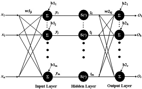 Figure 1. Back propagation neural network model (BPNN). Back propagation networks were composed of layers of neurons. The input and output layer were connected. The BPNN consists of an input layer, one or two hidden layers, and an output layer. All the connections have multiplying weights associated with them.