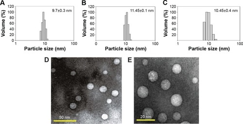 Figure 3 Particle size distribution of blank nanoemulsion (A) as well as catechin nanoemulsion with filtration (B) and without filtration (C) along with TEM images of catechin nanoemulsion captured at two different magnifications (D and E).Abbreviation: TEM, transmission electron microscope.