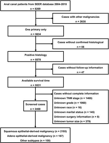 Figure 1 Flow diagram for the selection of patients with anal canal cancer from the SEER database between 2004 and 2015.