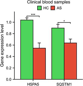 Figure 5 Validation of core DEARGs by clinical blood samples. *p < 0.05 and ***p < 0.001.