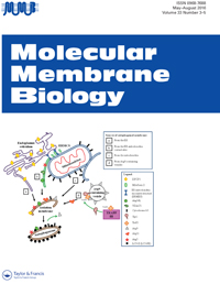 Cover image for Molecular Membrane Biology, Volume 33, Issue 3-5, 2016