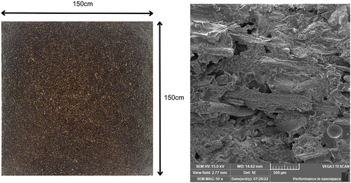 Figure 2. Diagram of fabricated bio-epoxy composite with date palm fiber and eggshell filler; SEM image at 50× magnification.