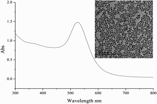 Figure 1. UV spectrum and transmission electron microscope map (inset) of 20 nm Au solution.