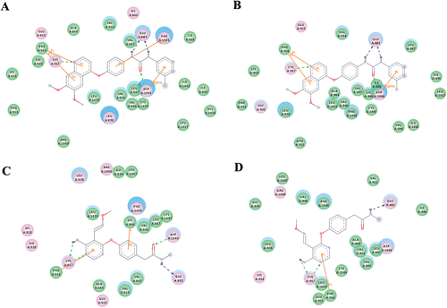 Figure 4.  2D representation of the interaction pattern of VEGFR-2 with active (A, B) and inactive (C, D) compounds before (A,C) and after (B,D) a simulation of 7 ns.