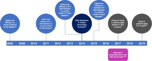 Figure 2 Timeline showing the preclinical and clinical development of cerliponase alfa and the year of its approval in the USA and Europe.Abbreviations: CNS, central nervous system; ICV, intracerebroventricular; IT-L, intrathecal–lumbar.