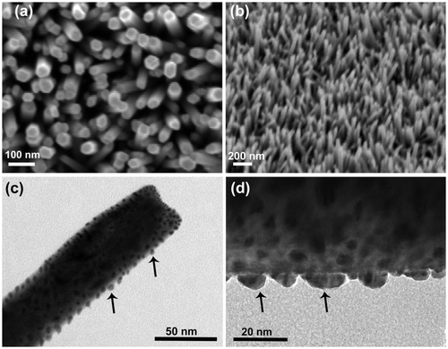 Figure 1. FESEM images of the chemically grown ZnO NWs on Si substrate: (a) top view, (b) 45° tilted view, (c) TEM image of the ZnO/Ti NW heterostructure, where the Ti was deposited for 75 s, (d) a magnified side view of the above heterostructure. Both the images clearly show the decoration of the Ti NPs (marked by solid arrow) on the surface of the ZnO NWs.