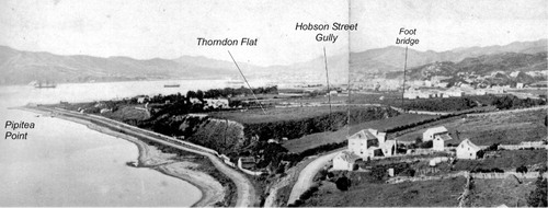 Figure 6 A photographic panorama taken in 1860 looking south showing Thorndon Quay (beach), cliff and Thorndon Flat, with Lambton Harbour in the distance. The prominent valley cutting through the cliff is Hobson Street Gully. In the background is Murphy Street with the first wooden footbridge over the gully. The northern end of Tinakori Road can be seen in the lower centre of the photo (photographer unknown; reference no. F-122101-1/2, Alexander Turnbull Library, National Library of New Zealand).