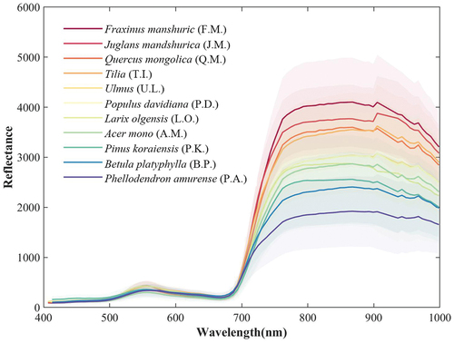 Figure 5. The mean and ± 1 standard deviation of the spectral reflectance (×10000) for all 11 tree species.