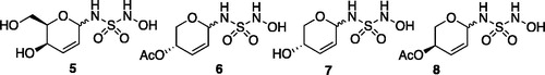 Figure 2. N-hydroxysulfamide glycoinhibitors.