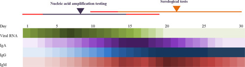 Figure 3 Expression of viral RNA load and antibody titer (IgA, IgM, and IgG) in patients over 30 days.Citation82,Citation158,Citation172,Citation176,Citation236