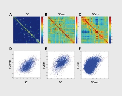 Figure 6. Relation of structural to functional connections. All data shown here are represent the right hemisphere of cerebral cortex (averaged over 5 participants), replotted from refs 56,95. (A) Structural connectivity (SO matrix, with edge weights resampled to a Gaussian distribution. (B) Empirical resting-state functional connectivity (FCemp), expressed as Pearson correlations of fMRI time series (average of two runs per participant, 35 minutes total length). (C) Simulated functional connectivity (FCsim) obtained using a neural mass model (average of 8 runs of 8 minutes simulated time).Citation95,Citation164 (D) Correlation between SC and FCemp (R= 0.57). (E) Correlation between SC and FCsim (R = 0.51). (F) Correlation between FCemp and FCsim (R = 0.46). Correlation plots show regression lines in red, and are computed over structurally connected node pairs in panels (D) and (E), and all node pairs in panel (F).