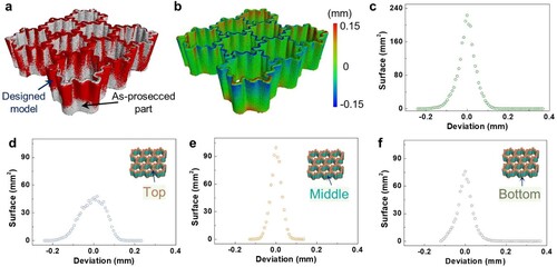 Figure 7. Micro-CT analysis reflecting the dimensional accuracy of the LPBF-processed double-asymmetric honeycomb with the gradation parameter α of 2/5: (a) Comparison of three-dimensional model; (b) Surface deviation map; statistical surface deviation distribution curve for the (c) whole model, (d) top, (e) middle, and (f) bottom section.