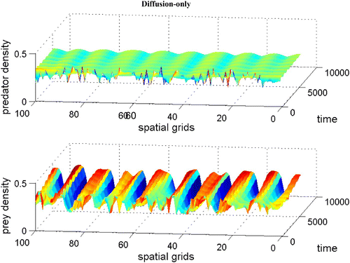 Figure 10. Coexistence steady state is shown to be asymptotically unstable for system Equation(1) and Equation(2) with χ=0, f(v)=1−v, h(v, n)=v(α+1)/(α+v), and δ(n)=δ+ν n with α=0.2, δ=0.6, γ=1.2, and ν=0.4. The diffusion coefficient ε is 0.01. Spatial grid size d x=0.25 and time step d t=0.01 with 60 time units. Here the coexistence steady state is (v s, n s)=(0.296, 0.291). Available in colour online.