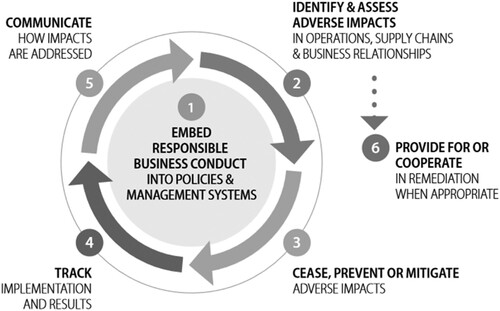 Figure 1. OECD guidelines on human rights. Source: OECD (Citation2018, Citation2019).