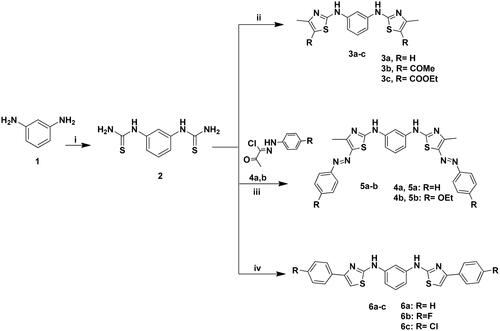 Scheme 1. Synthesis of 3a–c, 5a–b and 6a–c; Reagents and conditions: (i) NH4SCN (3eq.), H2O, HCl, reflux, 6 h; (ii) CH3COCHClR (2eq.), EtOH, TEA, reflux, 8–12 h; (iii) 4a–b (2eq.), EtOH, TEA; (iv) 2-chloro-1-phenylethanone derivative (2eq.), EtOH, TEA, reflux, 24 h.