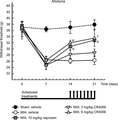 Figure 1 MIA model of OA pain: effect of CR4056 and naproxen on mechanical allodynia. Rats were injected with 1 mg/50 μl of MIA or saline (sham group) in the right knee. Mechanical withdrawal threshold (in grams) was evaluated in the ipsilateral paw by von Frey test, using a Dynamic Plantar Aesthesiometer, prior and 7, 14, and 21 days after MIA injection. CR4056 (2 and 6 mg/kg) and naproxen (10 mg/kg) were administered orally, once a day under the schedule indicated by the arrows positioned in the graph below the axis of time (days). Data, collected 90 minutes after the drug administration, represent the mean±SEM of six animals per group.
