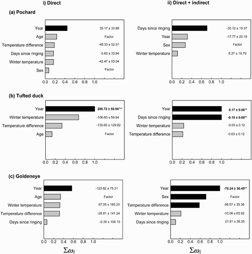 Figure 2. Relative importance of explanatory variables in explaining variation in the recovery distance of a) Pochard, b) Tufted Duck and c) Goldeneye using i) direct recoveries only and ii) direct plus indirect recoveries. Variables are ranked in order of the sum of their Akaike weights (Σωi ) within the top set of models, ie models with ΔAIC≤2. Black bars indicate those variables that were retained in the best single approximating model (ie that with the lowest AIC value) and grey bars indicate variables included in all other models within the top set. Variables judged significant at P<0.05 in the top model are shown in bold where ** indicates P<0.01 and *** P<0.001. Notation to the right indicates the strength of the slopes for each standardised covariate.