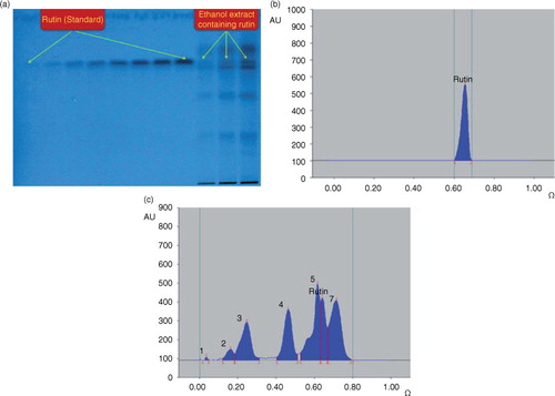 Fig. 5 Quantification of rutin in A. javanica total ethanolic extract by HPTLC. (a) Pictogram of developed RP-HPTLC plate at 254 nm; mobile phase – acetonitrile: water (4:6, v/v). (b) Chromatogram of standard rutin (1,000 ng spot−1), peak 1 (R f=0.65) scanned at 360 nm; mobile phase – acetonitrile: water 4:6, v/v). (c) Chromatogram of the extract containing rutin (peak 6) scanned at 360 nm; mobile phase – acetonitrile: water 4:6, v/v).